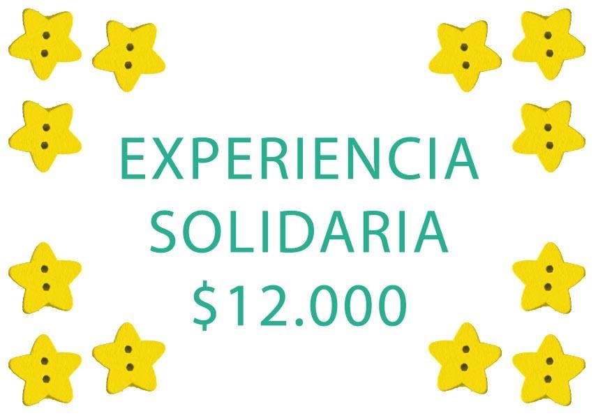 Experiencia Solidaria - Pequeños Artistas